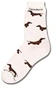 Dachshund Poses Socks