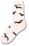 Dachshund Poses Socks