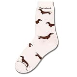 Dachshund Poses Socks