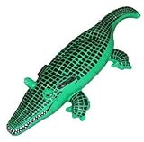 Enlarge toy image: Crocodile - Inflatable - school time children learning and fun