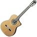 Washburn C64SCE Classical Guitar