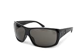 Dragon Recruit Sunglasses