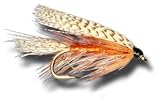 Catskill Wet Fly Fly Fishing Fly