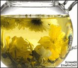 Teaposy Concert Series SYMPHONY Flowering Blossoming Herbal Tea-12 Sachets