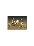 Restless Bones Halloween Decoration