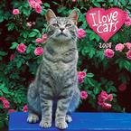 I Love Cats 2008 Wall Calendar - Cat Calendars