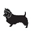Terrier Dog Pet Australian Terrier Car Truck Vehicle Bumper Helmet Decal Sticker Wall Art Laptop Design Skin Stickers