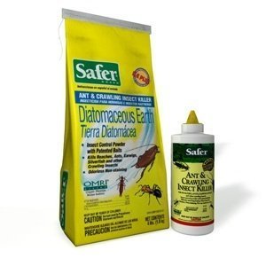 Safer Ant And Crawling Insect Killer Combo :: Diatomaceous Earth with Bait :: Bed Bug Powder
