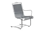 Woodard Briarwood Mesh Wrought Iron Spring Arm Patio Lounge Chair Woodard Briarwood Mesh Wrought Iron Spring Arm Patio Lounge Chair