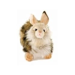 Fawn Rabbit Plush Toy By Hansa 10" Long