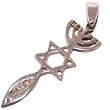 Messianic Seal - Style I - Sterling Silver Pendant (3cm or 1.18" w/o loop) - Comes with Silver box chain