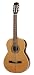 La Patrie Guitar, Concert Left QI