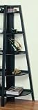 Powell Antique Black with Sand Through Terra Cotta Large Corner Bookcase