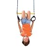 Ring/ Trapeze Bar Combo Swing