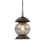 Elk Lighting 08170-BB Manchester 1-Light Outdoor Pendant In Burnt Bronze