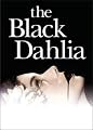 play video on Amazon Instant Video
