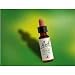 Bach - Flower Essence Heather - 20 ml