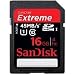 SanDisk Extreme HD Video 16 GB SDHC Class 10 Memory Card (SDSDRX3-016G-A21)