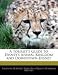 A Tourist's Guide to Disney's Animal Kingdom and Downtown Disney