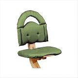 Chair Cushion in Sage