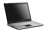 Gateway M-6888U 15.4-Inch Silver Laptop