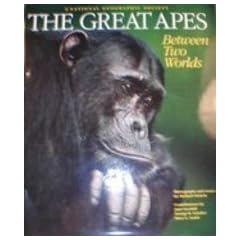 The Great Apes: Between Two Worlds