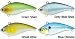 Sporting Goods : Game Vibe - Green Shad