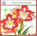 Holiday Time Indoor Growing Kit - Amaryllis 'Minerva'