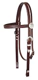 Circle Y Fan and Silver Headstall