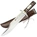 Alamo Bowie Knife