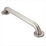 SecureMount 18 Peened Grab Bar in Stainless Steel