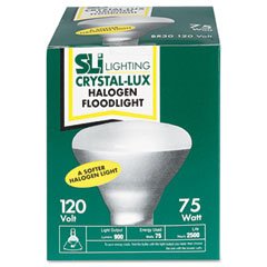 SLI Lighting Indoor Floodlight 75 Watts