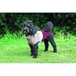 Tcoat Calgary, Hundepullover, XS, 25 cm, grau-bordeaux