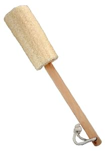 best loofah on a stick