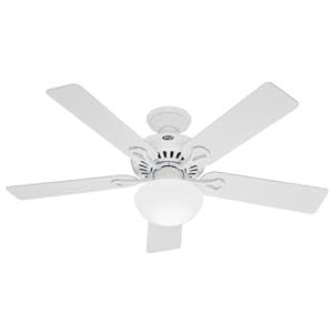 Hunter 21539 The Vista 52-inch 3-speed Ceiling Fan With 5 White/light-oak Blades And Optional Light Kit