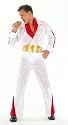 Rock Star Elvis Style Adult Costume. One size fit.