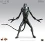 Sideshow Collectibles Hot Toys Aliens Deluxe 16 Inch Model Figure Alien Warrior