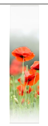 Home fashion 86049-707 Schiebevorhang Digitaldruck \"Antwerpen\", rot / 245 x 60 Preisvergleich