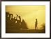 A Biologist Watches for Desert Tortoises as Bulldozers Roll Nearby Collections Framed Photographic Poster Print by Joel Sartore, 29x21