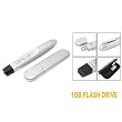 RF Wireless Laser Pointer (Silver) with Page Up/down Presentation Function - 1GB USB Flash Drive
