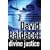 Divine Justice