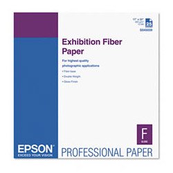 S045039, Professional Exhibition Paper