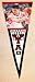 Yao Ming #11 Houston Rockets 13 x 32 NBA Player Pennant from Winning Streak Sports