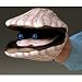Folkmanis Scallop Puppet