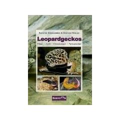 Leopardgeckos: Pflege, Zucht, Erkrankungen, Farbvarianten