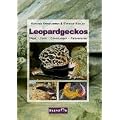 Leopardgeckos: Pflege, Zucht, Erkrankungen, Farbvarianten
