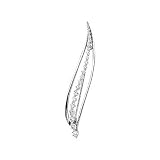 14K White Gold Diamond Journey Brooch - 1.50 Ct. TW