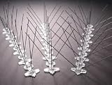 Bird Barrier Spikes