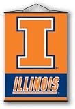 Illinois Fighting Illini Indoor Wall Banner