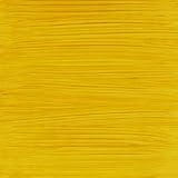 Holbein Oil Color Permanent Yellow 40 ml tube